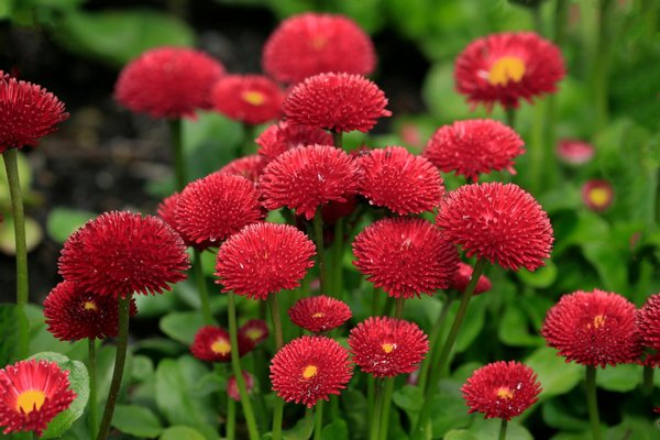 Montage de meubles à domicile : quelles solutions pour les personnes âgées ?