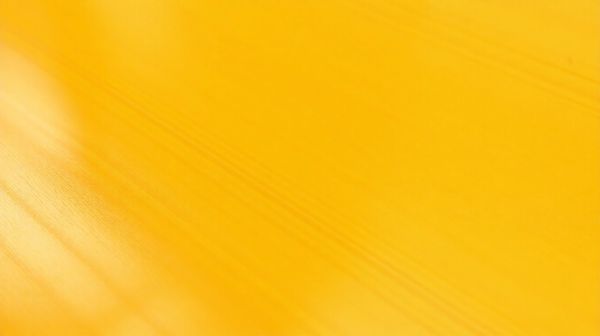 Les meilleures astuces pour un panneau PVC coloré parfait